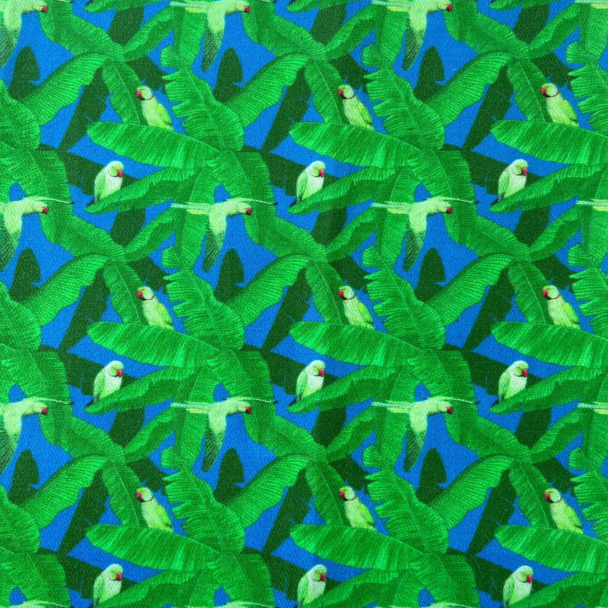 Sergé de coton imprimé motif perroquet jungle babniers vert vif bleu vif turquoise vert pomme oiseaux ara bec rouge coloré bleu roi moderne  